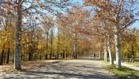 Madrid - parcul El Retiro