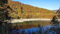 Culori de toamnă la Vidraru