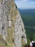 Brana aeriana