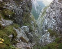 Valea Seacă a Caraimanului