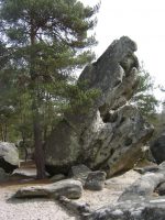 Fontainebleau - bolovanul Diplodocus, care dă numele zonei
