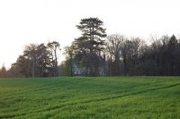 Château de Beauregard