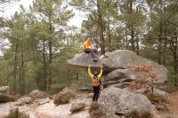 Fontainebleau - Circuit de 25 bosses