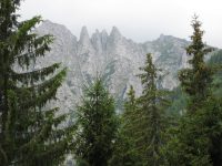 Poza facuta acum 2 ani, coltii vazuti de la Pichetul Rosu