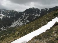 Hornurile Tiganesti si Malaiesti