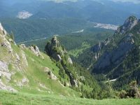 Valea Cerbului