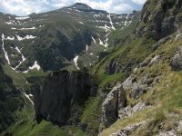 Valea Cerbului