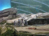 Zoo Berlin