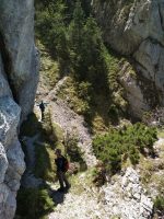 Brâul de Mijloc