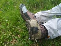 Au rezistat totuşi până la sfârşit