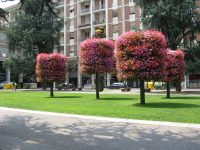 Cuneo (Italia)