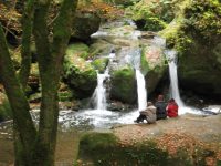 Mullerthal trail