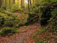 Mullerthal trail