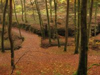 Mullerthal trail