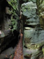 Mullerthal trail