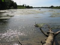 Pointe de Courpain, locul unde Loiretul se varsă în Loira