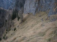 Braul Portitei