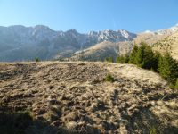 Piatra Craiului