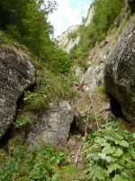Valea Spumoasă