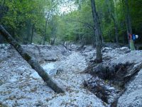 Poteca spre Malul galben, remodelată de viiturile din vară