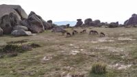 La Pedriza - El Yelmo