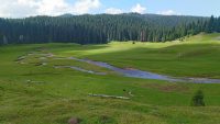 Poiana Ponor, probabil singura polie din România