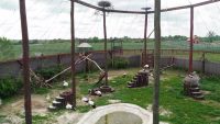 Zonă de recuperare la spitalul păsărilor