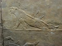 Londra - British Museum, Lupoaica ranita - Mesoppotamia