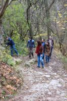 Cheile Turzii