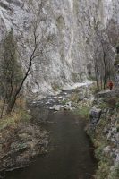 Cheile Turzii