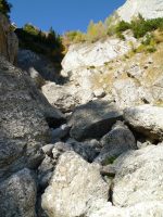 Valea Coștila - am inceput sa o urcăm chiar din dreptul refugiului