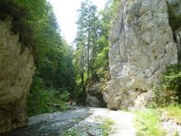 Ieșirea din Cheile Ghimbavului