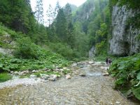 Înapoi in Cheile Dâmboviței