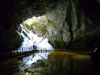 Ghețarul Scărișoara