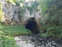 Rakov Škocjan și peștera Tkalca
