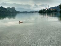 Lacul Bled